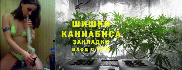 PSILOCYBIN Белоозёрский