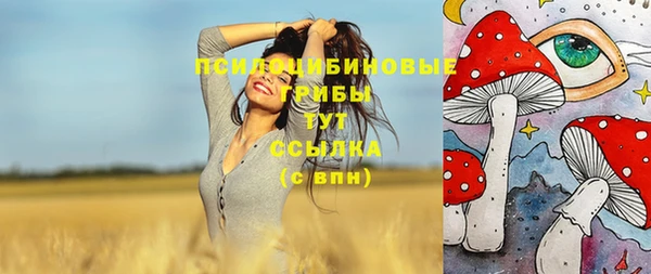 MDMA Белокуриха