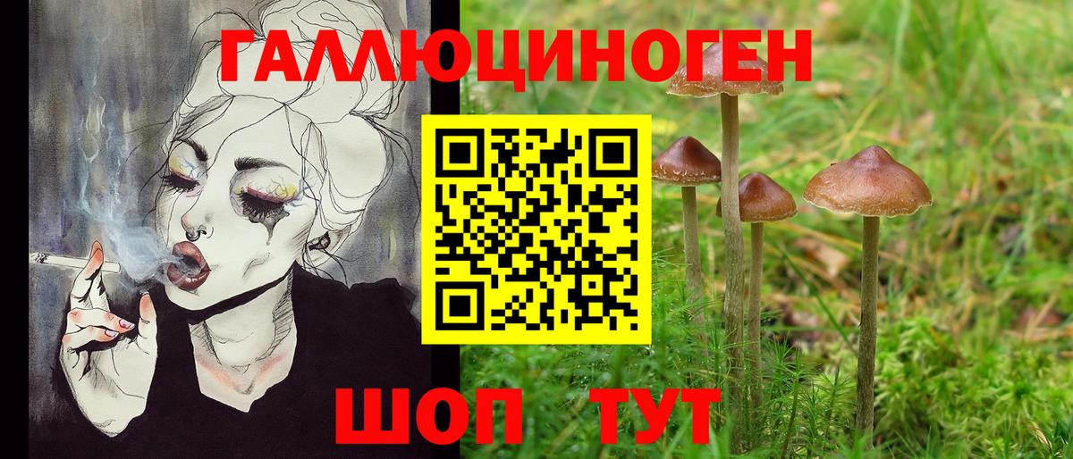Кувандык  Галлюциногенные грибы мицелий  Вход с VPN 