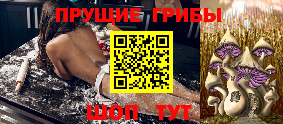 Псилоцибиновые грибы ЛСД Кувандык