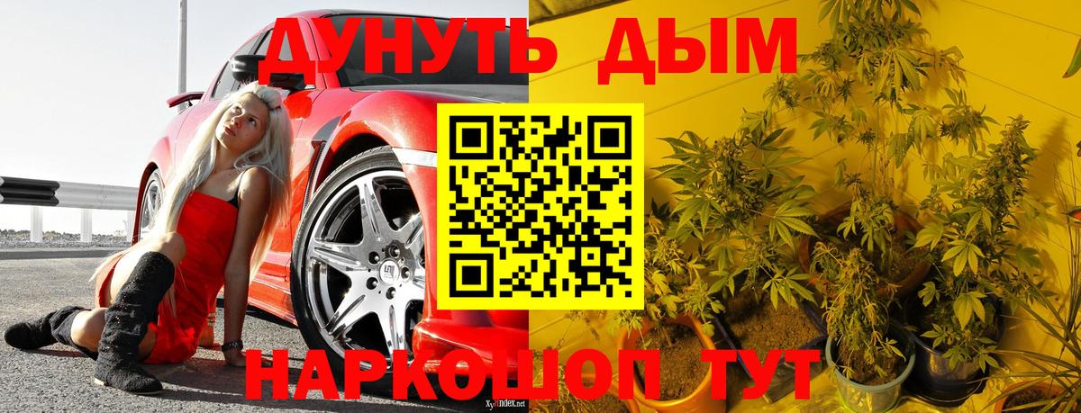 Конопля план  Бошки Шишки MAZAR  Канабис White Widow  Бошки Шишки гибрид  Вход с VPN  Кувандык 